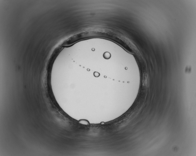 X0000101230388200807251139