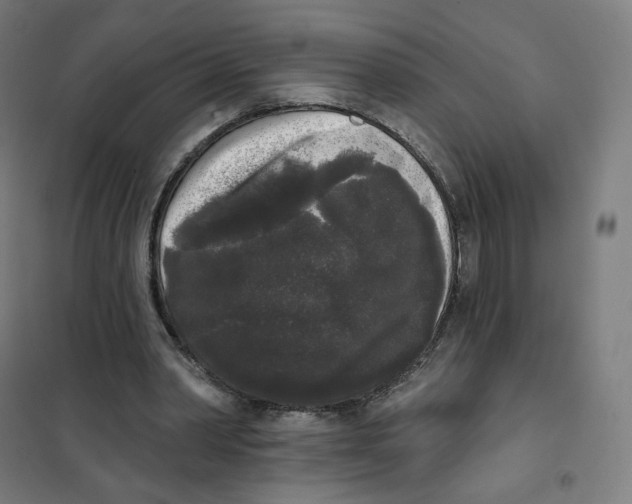 X0000101230390200807251139
