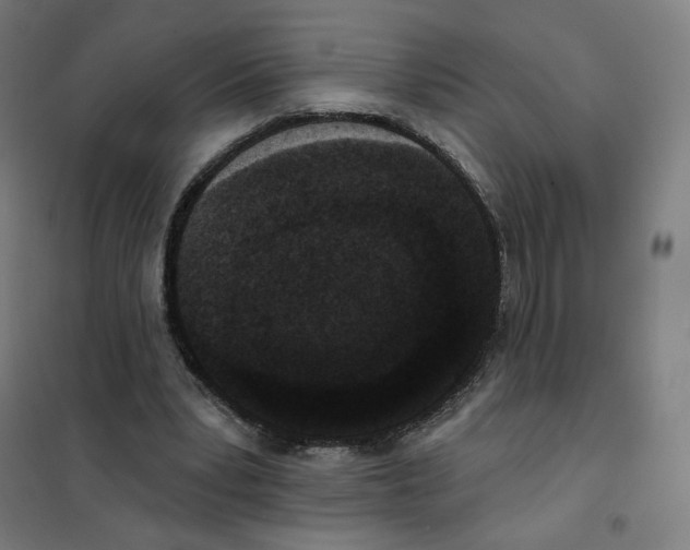 X0000101230391200807251139