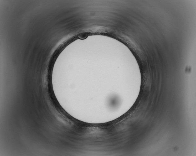 X0000101230392200807251139