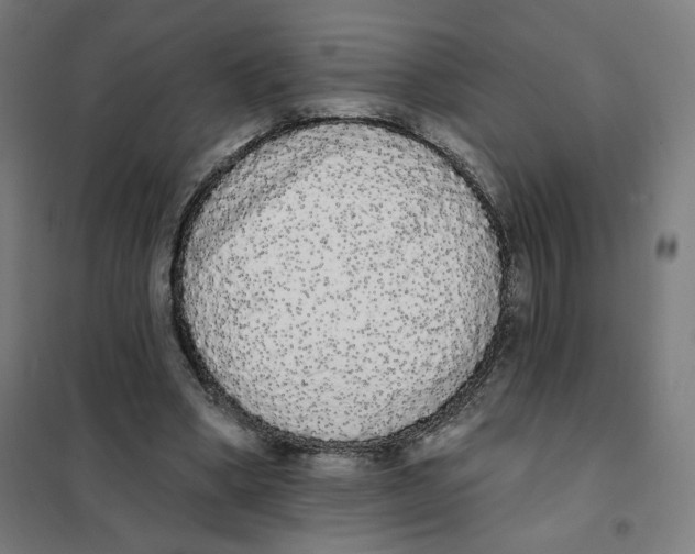 X0000101230394200807251139