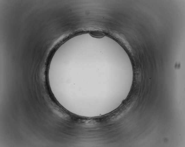 X0000101230395200807251139