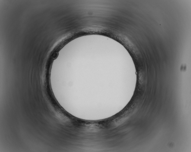 X0000101230396200807251139