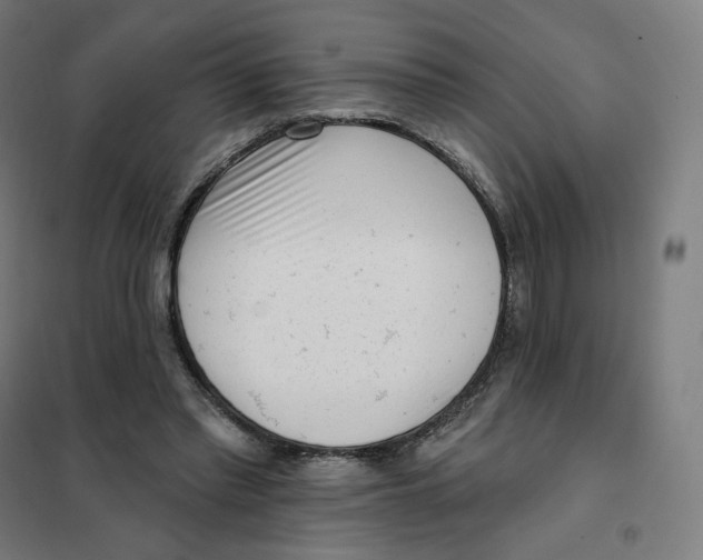 X0000101230397200807251139