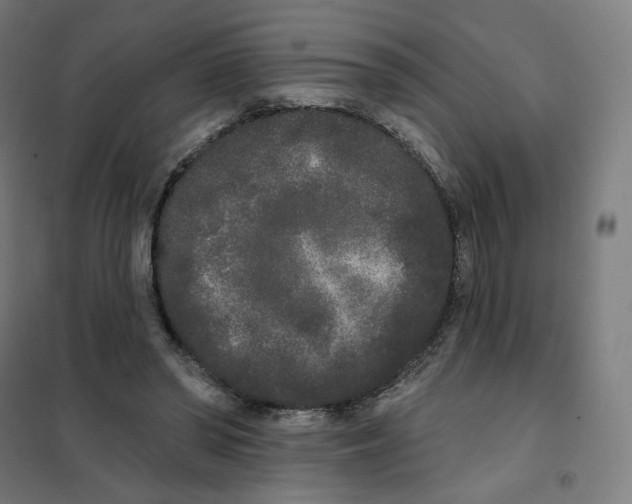 X0000101230398200807251139