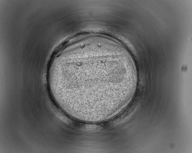 X0000101230399200807251139