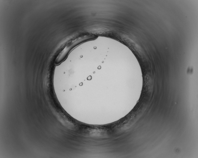 X0000101230400200807251139