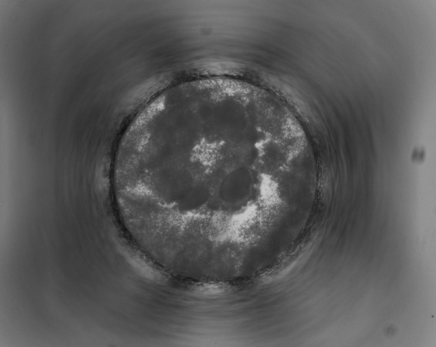 X0000101230402200807251139