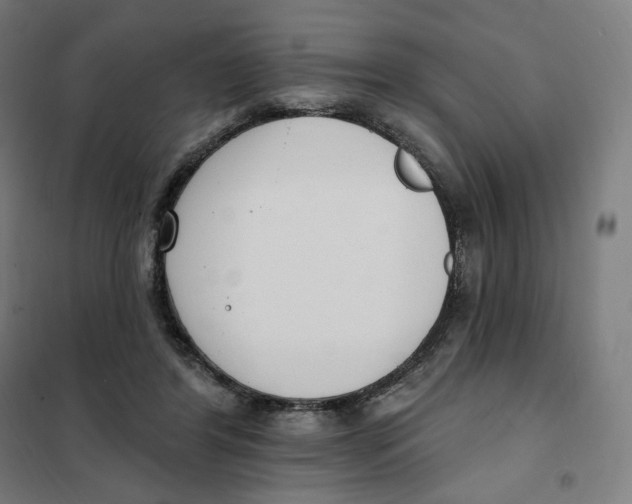 X0000101230404200807251139
