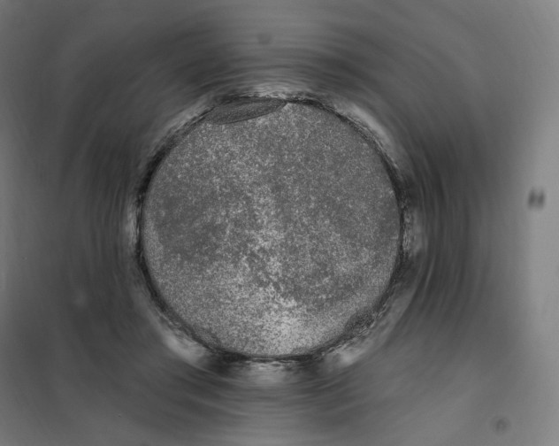 X0000101230405200807251139