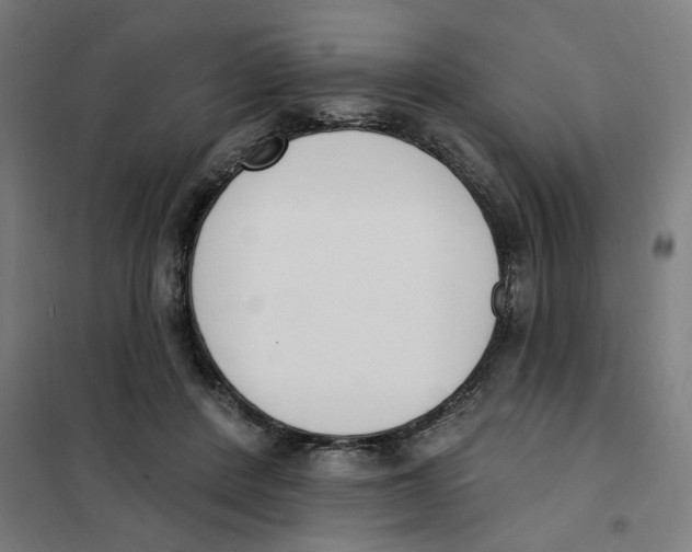 X0000101230408200807251139