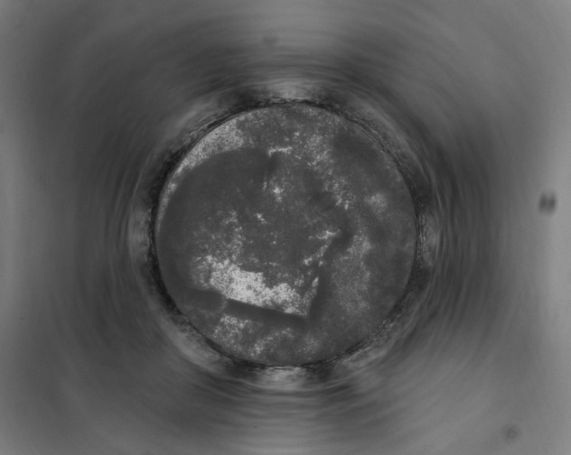 X0000101230410200807251139