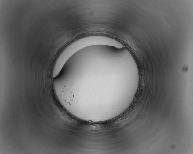 X0000101230411200807251138