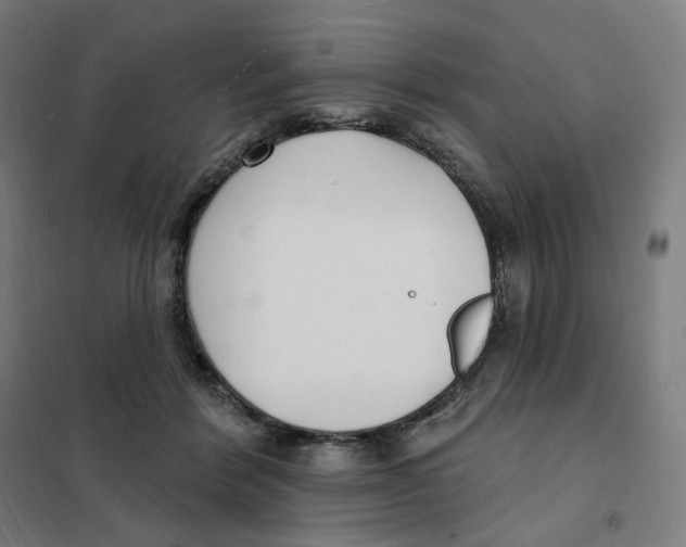 X0000101230412200807251138