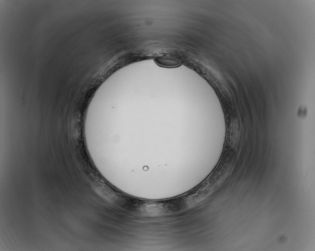 X0000101230413200807251138