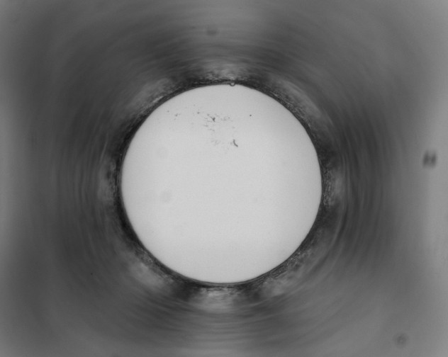 X0000101230414200807251138