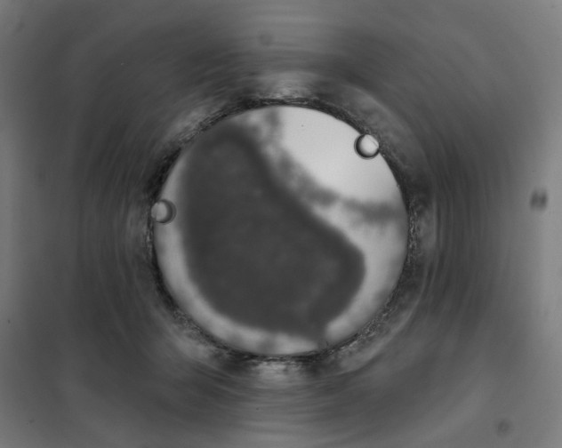 X0000101230415200807251138