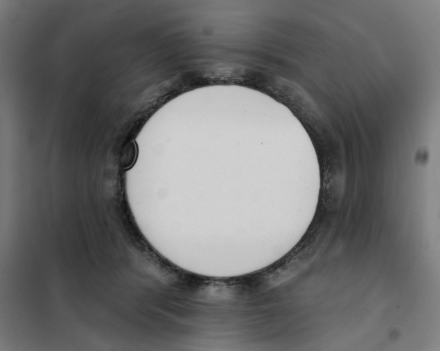 X0000101230416200807251138