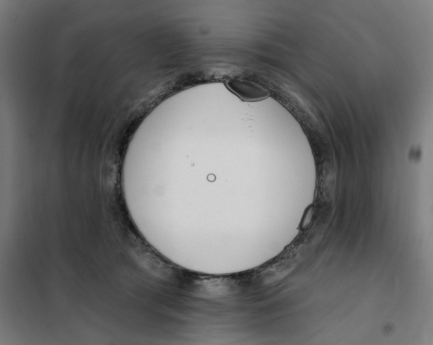 X0000101230417200807251138
