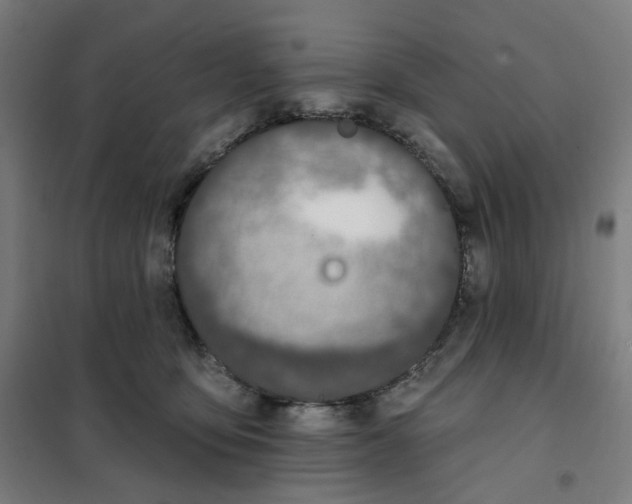 X0000101230419200807251138