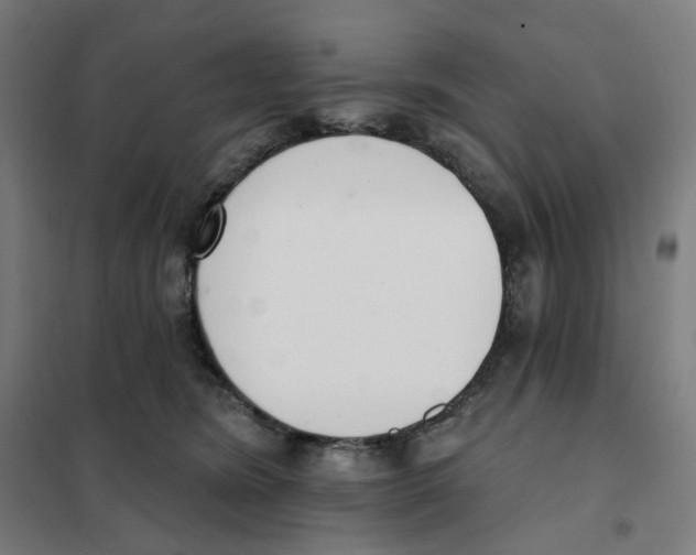 X0000101230420200807251138