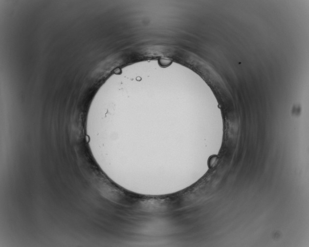 X0000101230422200807251138