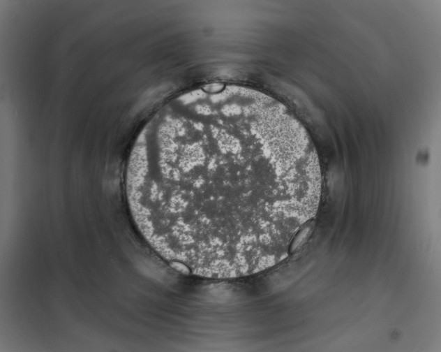X0000101230423200807251138