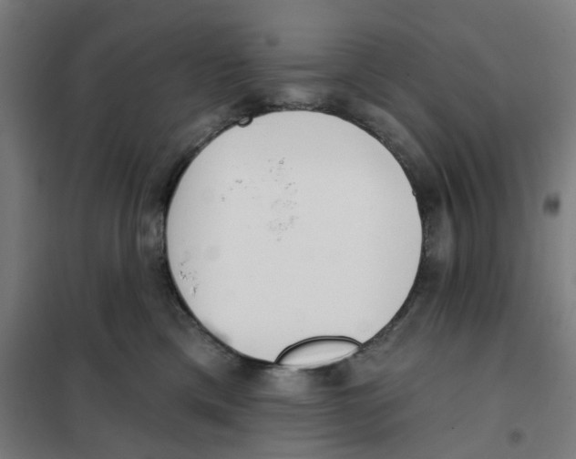 X0000101230425200807251138