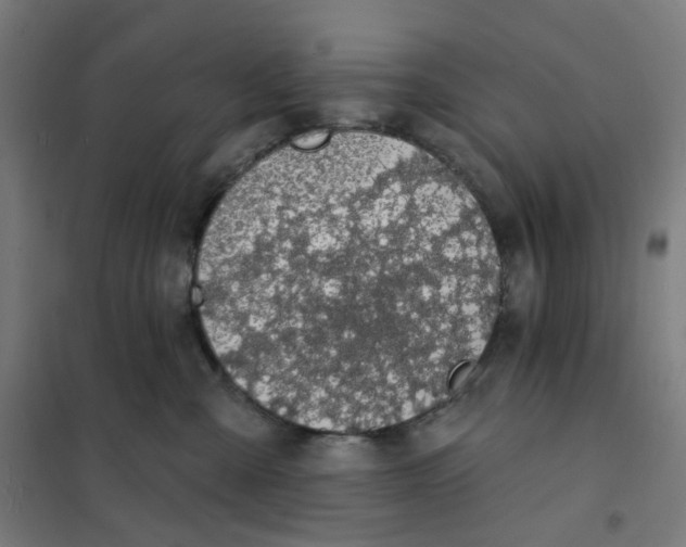 X0000101230427200807251138