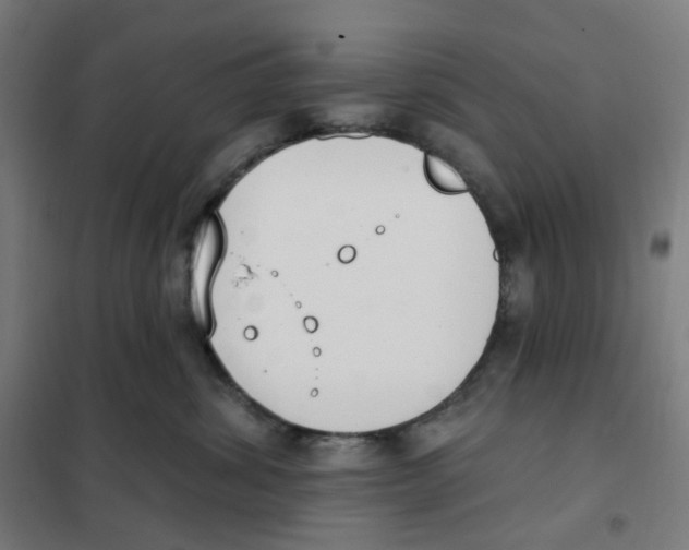X0000101230428200807251138