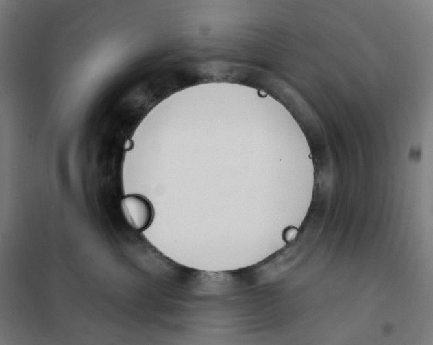 X0000101230429200807251138