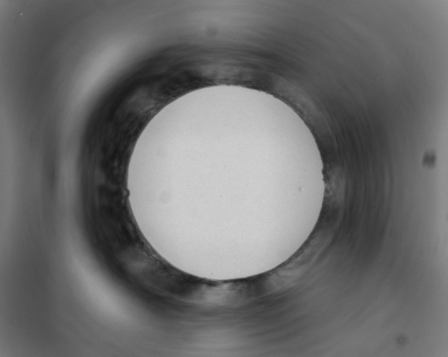 X0000101230430200807251138