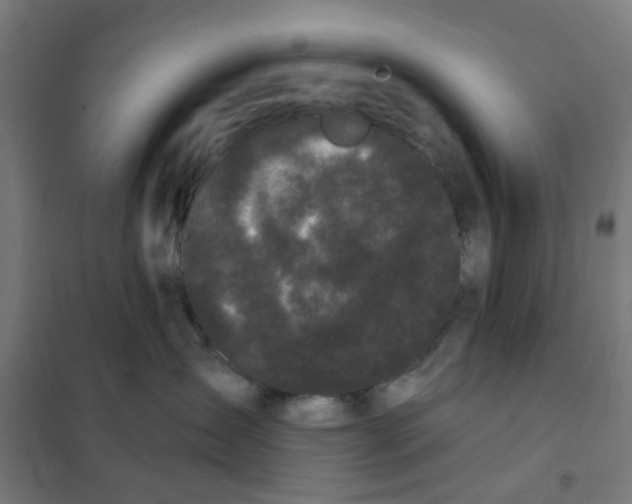 X0000101230431200807251138