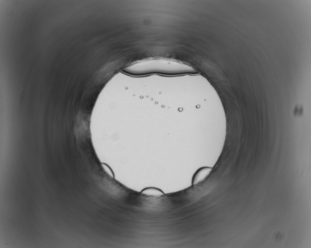 X0000101230432200807251138