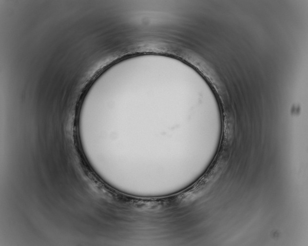 X0000101230434200807251138
