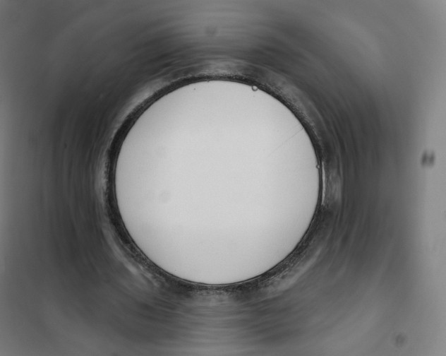 X0000101230435200807251138