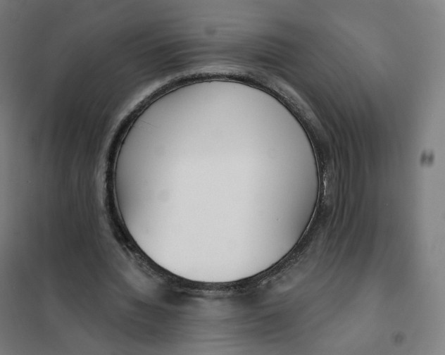 X0000101230436200807251138