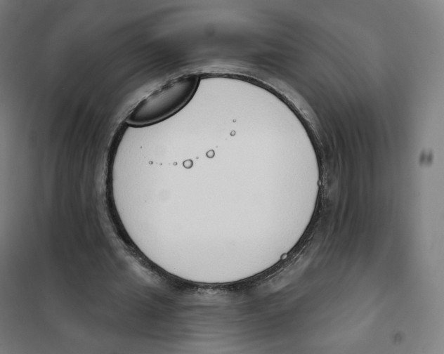 X0000101230437200807251138