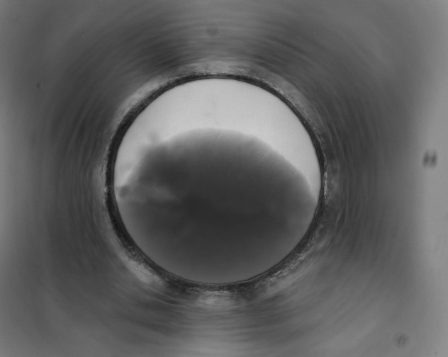 X0000101230438200807251138