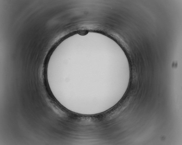 X0000101230439200807251138