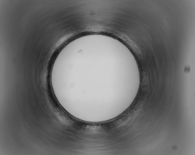 X0000101230440200807251138