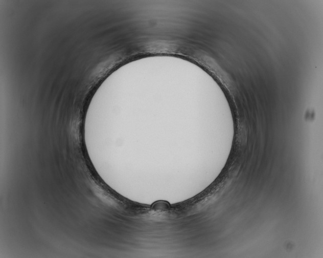 X0000101230441200807251138
