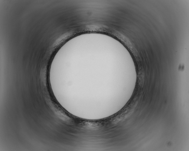 X0000101230442200807251138