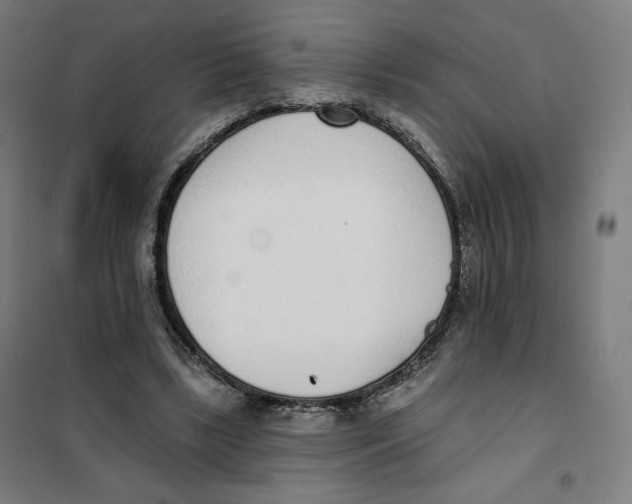 X0000101230443200807251138
