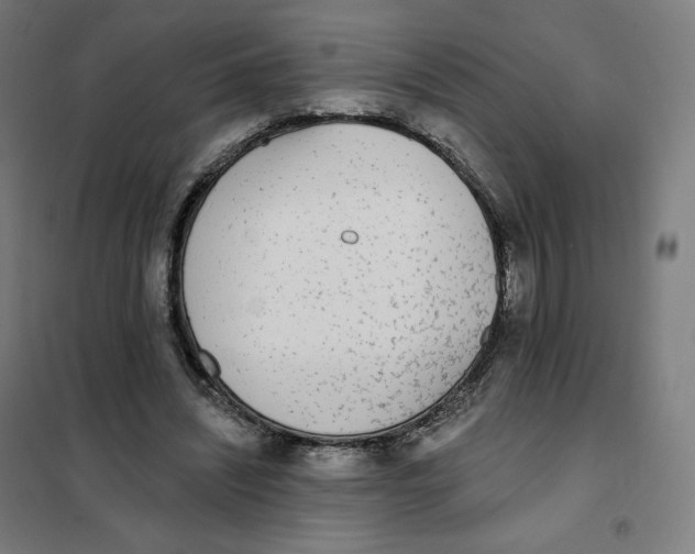 X0000101230444200807251138