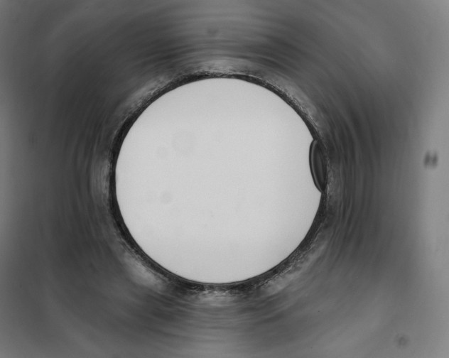 X0000101230445200807251138