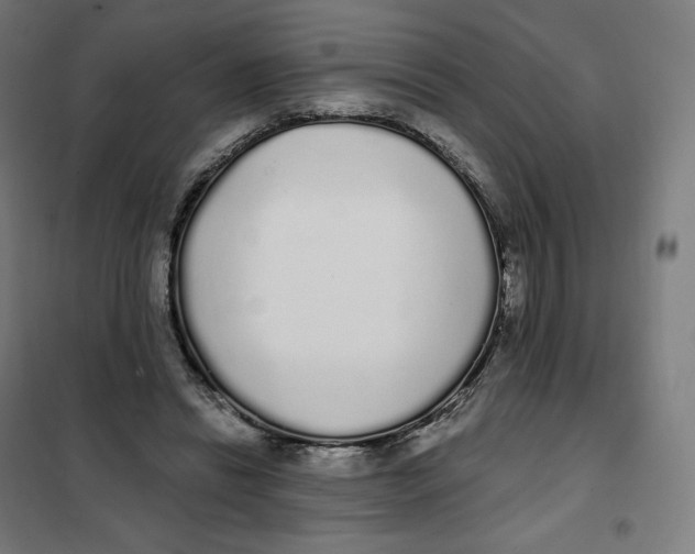 X0000101230446200807251138