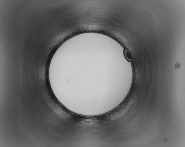 X0000101230447200807251138