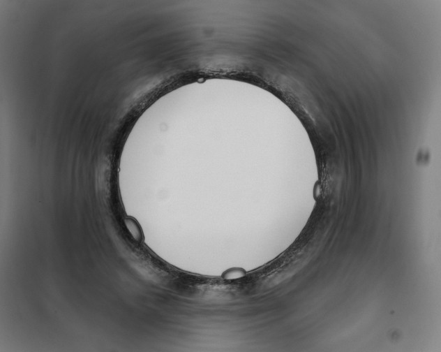 X0000101230448200807251138