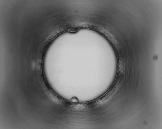 X0000101230449200807251138